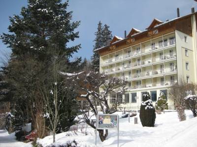 Hotel Wengener Hof